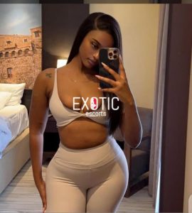 Escort girls in Flamingo