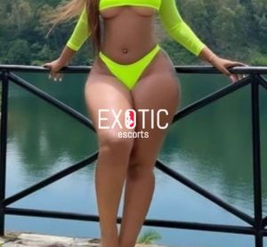 Free Area Escorts